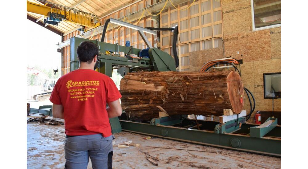 red cheddar sawmilling