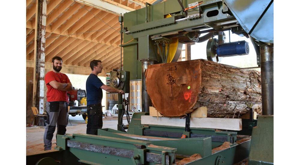 red cheddar sawmilling