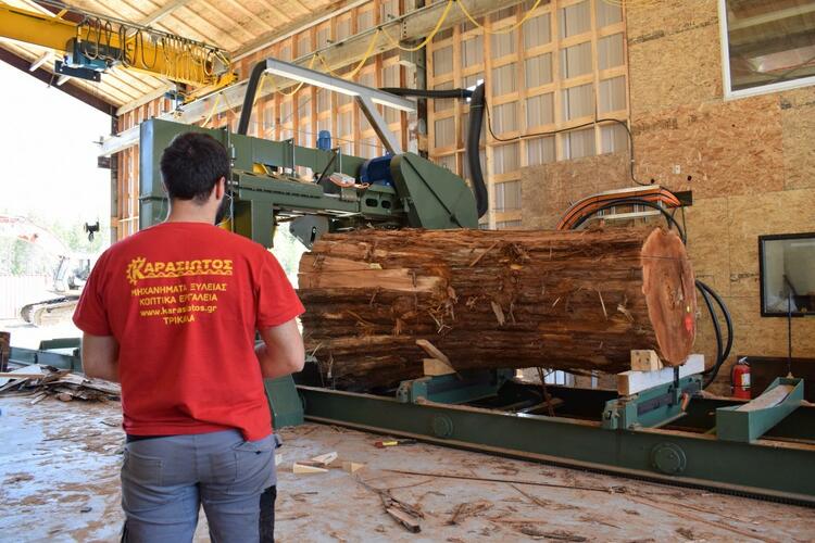 red cheddar sawmilling